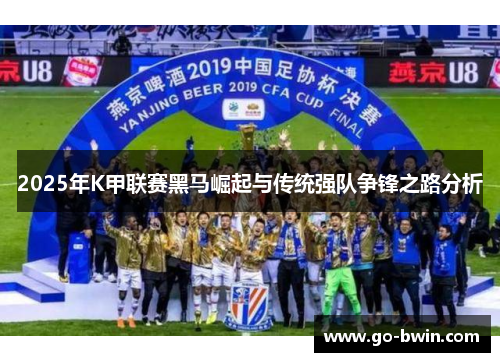 2025年K甲联赛黑马崛起与传统强队争锋之路分析