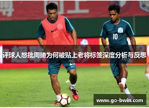 评球人怒批周琦为何被贴上老将标签深度分析与反思