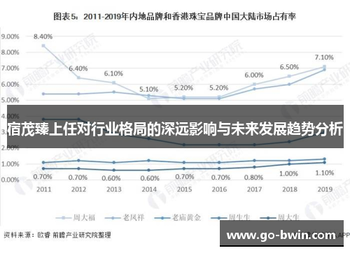 宿茂臻上任对行业格局的深远影响与未来发展趋势分析